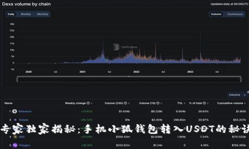 专家独家揭秘：手机小狐钱包转入USDT的秘诀