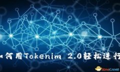 专家独家揭秘：如何用Tokenim 2.0轻松进行国外汇款