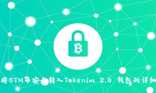 如何将BTM币安全转入Tokenim 2.0 钱包的详细指南