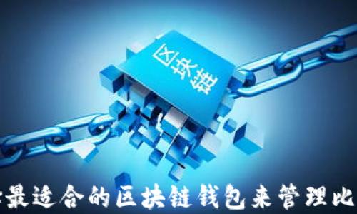 
如何选择最适合的区块链钱包来管理比特币资产