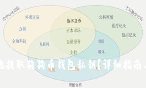 如何安全地提取狗狗币钱包私钥？详细指南与注意事项