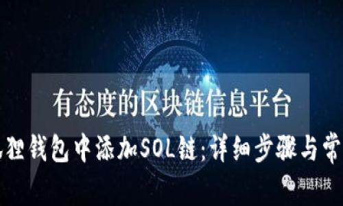 如何在小狐狸钱包中添加SOL链：详细步骤与常见问题解答