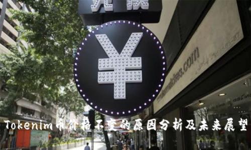 Tokenim币价格不变的原因分析及未来展望