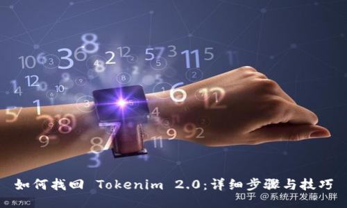 如何找回 Tokenim 2.0：详细步骤与技巧