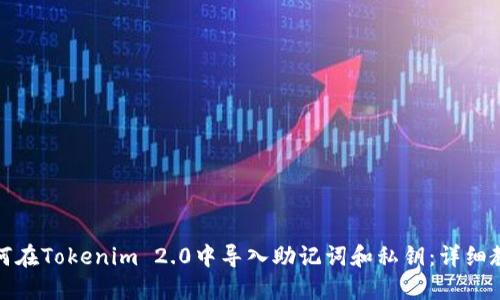 如何在Tokenim 2.0中导入助记词和私钥：详细教程