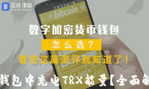 
如何在比特派钱包中充电TRX能量？全面解析与实用指南
