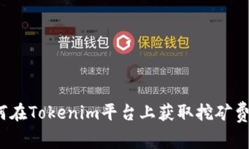 如何在Tokenim平台上获取挖矿费用？