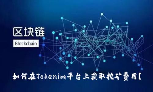 如何在Tokenim平台上获取挖矿费用？