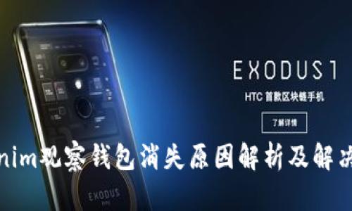 Tokenim观察钱包消失原因解析及解决方案