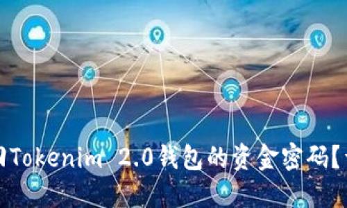 如何找回Tokenim 2.0钱包的资金密码？详尽指南