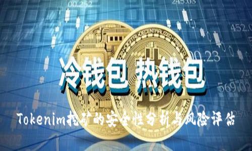 Tokenim挖矿的安全性分析与风险评估