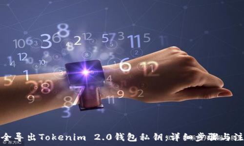   
如何安全导出Tokenim 2.0钱包私钥：详细步骤与注意事项