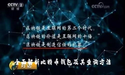 全面解析比特币钱包及其查询方法