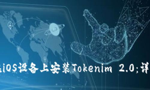 如何在iOS设备上安装Tokenim 2.0：详细指南
