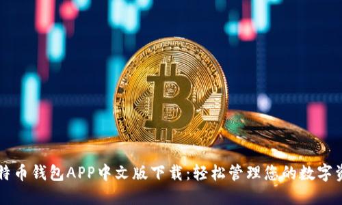 比特币钱包APP中文版下载：轻松管理您的数字资产