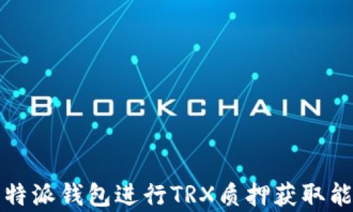 
如何通过比特派钱包进行TRX质押获取能量的全解析
